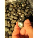 Labradorite