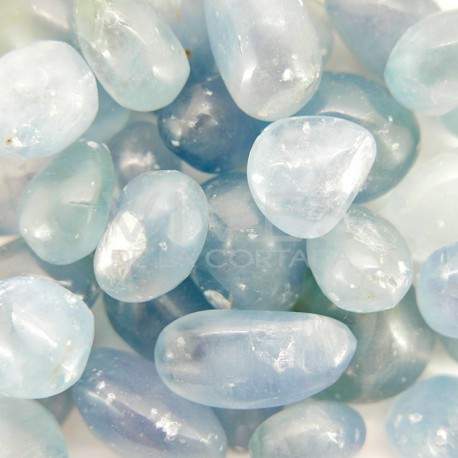 Filming of Celestina