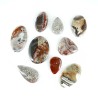 Cabochon de jaspe fou