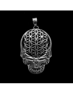 Pendant in Silver Plating -C61-