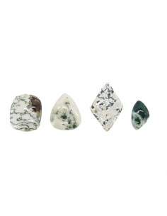 Cabochon d'agate en forme d'arbre (Pack 30gr)