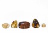 Jasper Mokaita cabochon (Pack 30gr)