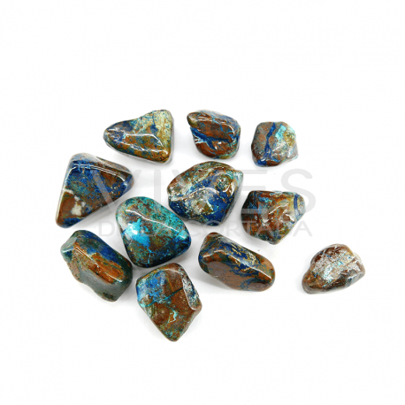 Shattukite Rhodiola (paquet de 30gr)