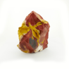 Rough Large Mokaite Jasper (2-2,4 kg)