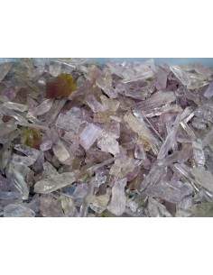 kuncita extra qualité 2