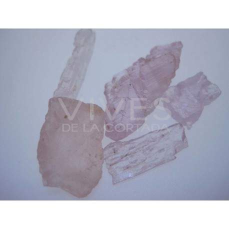 kuncita calidad extra