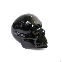 Calavera de Obsidiana Dorada