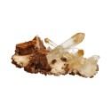 Halloysite Druse (Quartz Mango) CM15