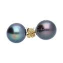 Pendientes de Perla Negra en Oro 1ª Ley (C90)