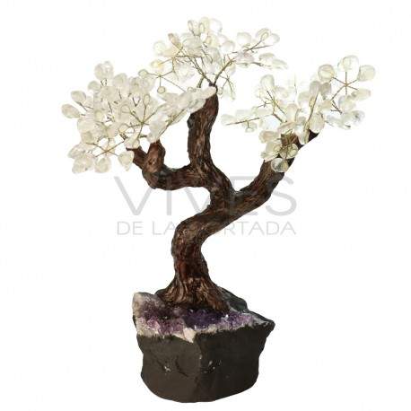 Árbol de Cuarzo Grande  con Base de Drusa de Amatista