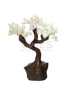 Árbol de Cuarzo Grande  con Base de Drusa de Amatista 2