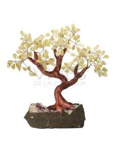 Árbol de Citrino Grande con Base de Drusa de Amatista 2