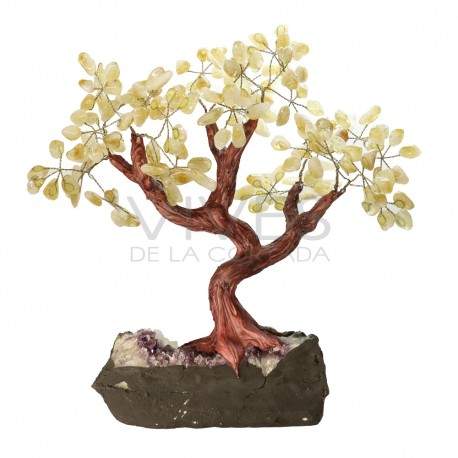 Árbol de Citrino Grande con Base de Drusa de Amatista