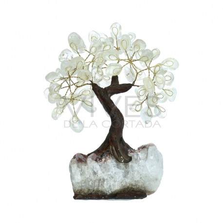 Árbol de Cuarzo Pequeño con Base de Drusa Amatista