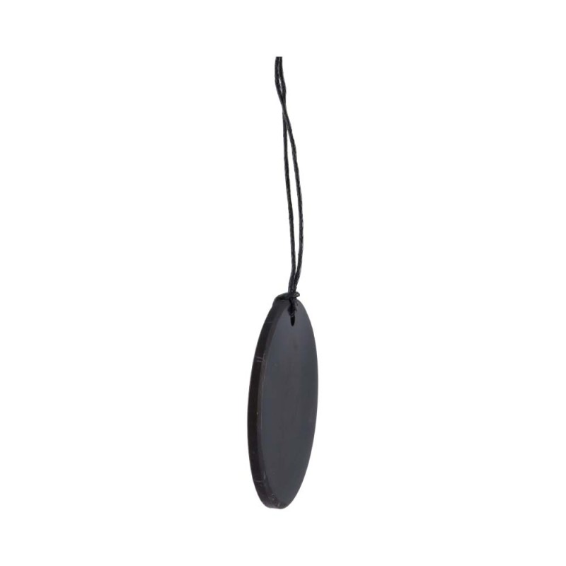 Ciondolo circolare in shungite