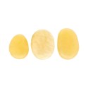 Aragonite flat rolled
