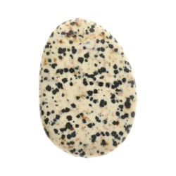 Pietra levigata piatta di diaspro dalmata