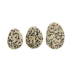 Dalmatian Jasper Flat Rhodium Plated