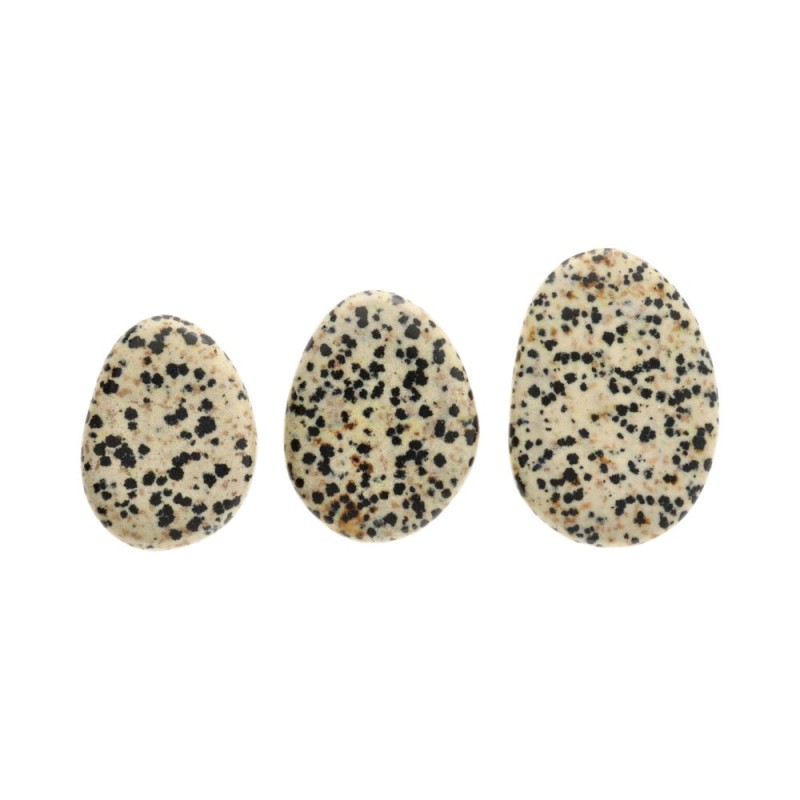 Pietra levigata piatta di diaspro dalmata