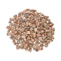 Leopard Jasper Tumbled T-1