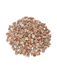 Leopard Jasper Tumbled T-1 2