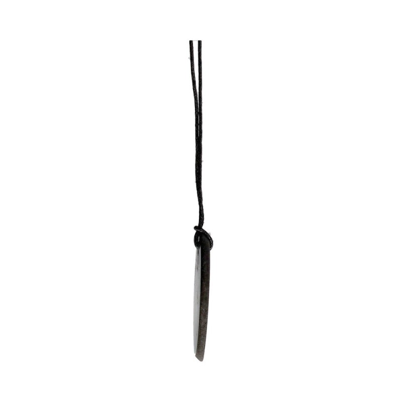 Ciondolo di Shungite Ovale Piccolo