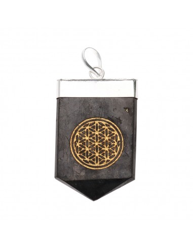 Pendentif Shungite Fleur de vie...