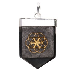 Pendente di Shungite Semenza della Vita in Bagno d'Argento