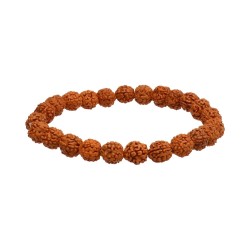 Bracciale Semilla di Rudraksha 8mm
