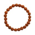 Bracelet de graines Rudrashka 8mm