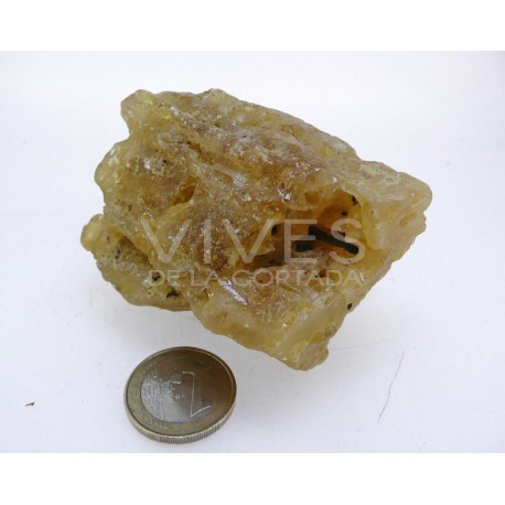 Copal (Ambar)