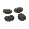 Tectite Colombianite (Pack 20 g)