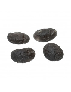 Tectite Colombianite