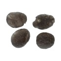Tectita Colombianita (Pacco 20gr)