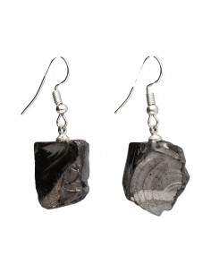 Brincos de shungite com...