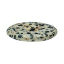Dalmanite or Dalmatian Jasper Large Donut