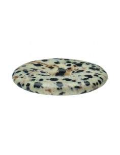 Dalmanite ou Jaspe... 2