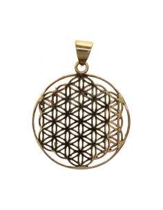 Bronze Pendant Flower of...