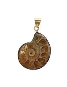 Ciondolo in bronzo Ammonite...