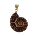 Ammonite Bronze Pendant -37-