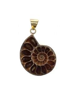 Ciondolo in bronzo Ammonite... 2