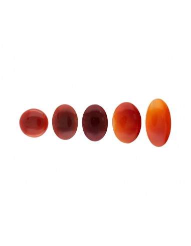 Cameo in Corniola