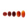 Carnelian cabochon