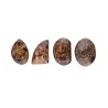 Cabochon di Broncita