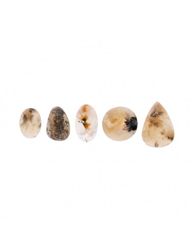 Cabochon di Agata Tigre Dendritica