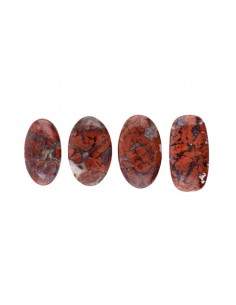 Petrified Wood Jasper cabochon