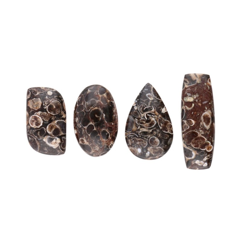 Cabochon di Giada Fossile
