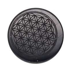 Piastra adesiva di Shungite Fiore della vita