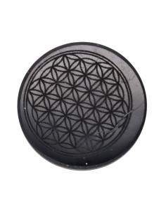 Shungite Placa Adesiva Flor...