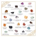 Pacote de Caixa Essencial B.1